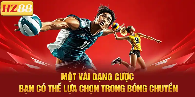 Cá Cược Bóng Chuyền